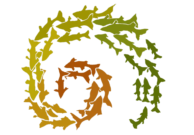LittleFishLogo 768x537